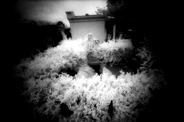 Lafayette Cemetery No. 1 - by chuckv