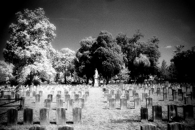 Laurel Grove - by chuckv