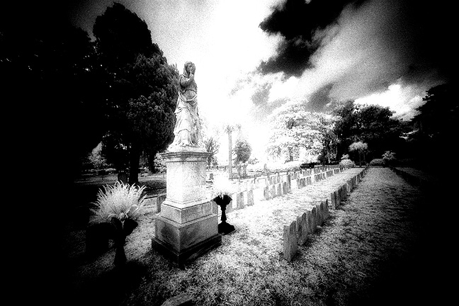 Laurel Grove - by chuckv