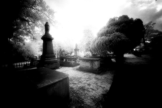 Laurel Grove - by chuckv