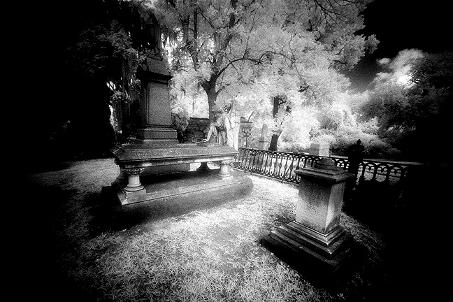 Laurel Grove - by chuckv