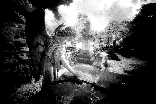 Laurel Grove - by chuckv