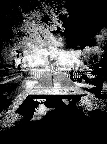 Laurel Grove - by chuckv