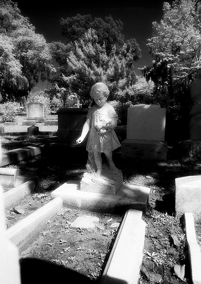 Laurel Grove - by chuckv