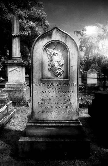 Laurel Grove - by chuckv