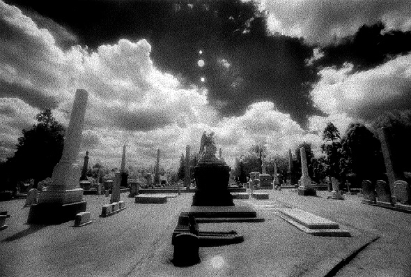 Laurel Hill Cemetery - by chuckv