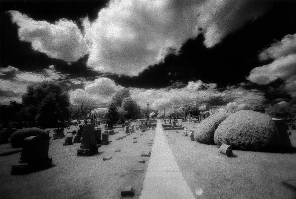 Laurel Hill Cemetery - by chuckv