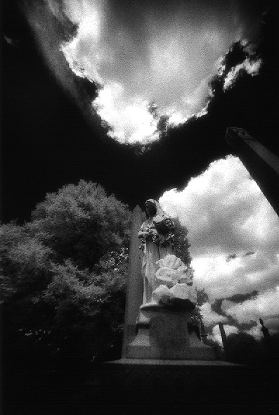 Laurel Hill Cemetery - by chuckv
