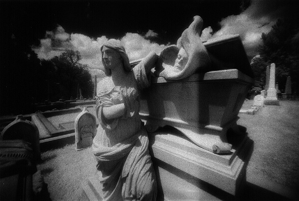 Laurel Hill Cemetery - by chuckv