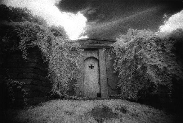 Laurel Hill Cemetery - by chuckv