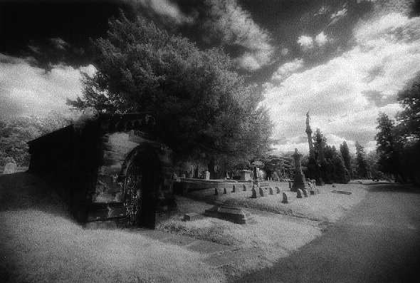 Laurel Hill Cemetery - by chuckv