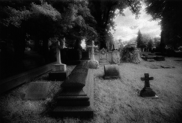 Laurel Hill Cemetery - by chuckv