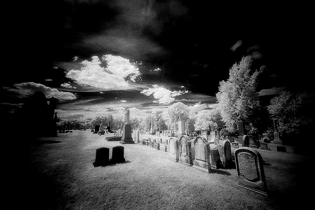 Laurel Hill Cemetery - by chuckv