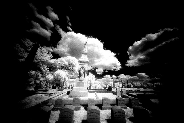 Laurel Hill Cemetery - by chuckv