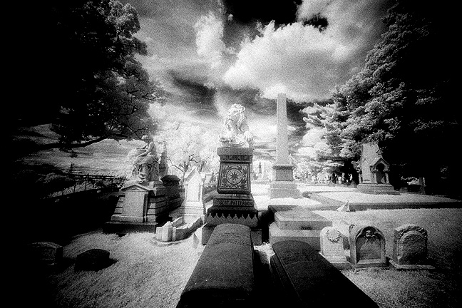 Laurel Hill Cemetery - by chuckv