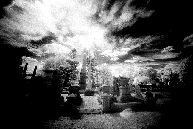 Laurel Hill Cemetery - by chuckv