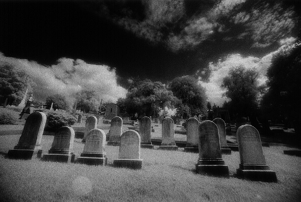 Laurel Hill Cemetery - by chuckv