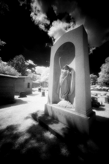 Laurel Hill Cemetery - by chuckv