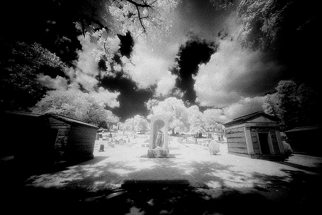 Laurel Hill Cemetery - by chuckv