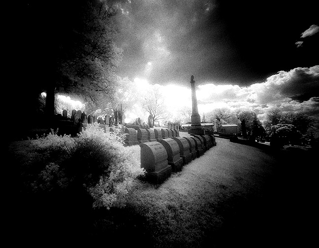 Laurel Hill Cemetery - by chuckv