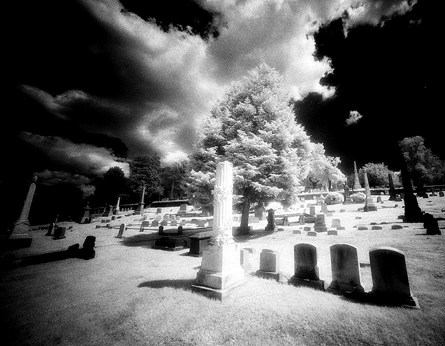 Laurel Hill Cemetery - by chuckv
