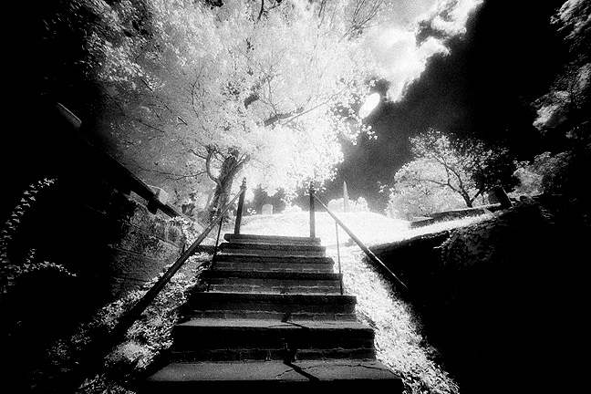 Laurel Hill Cemetery - by chuckv