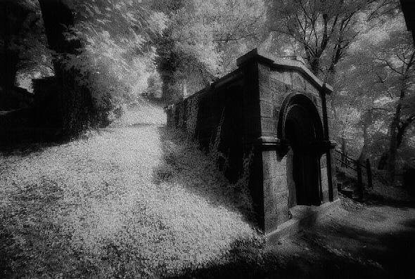 Laurel Hill Cemetery - by chuckv