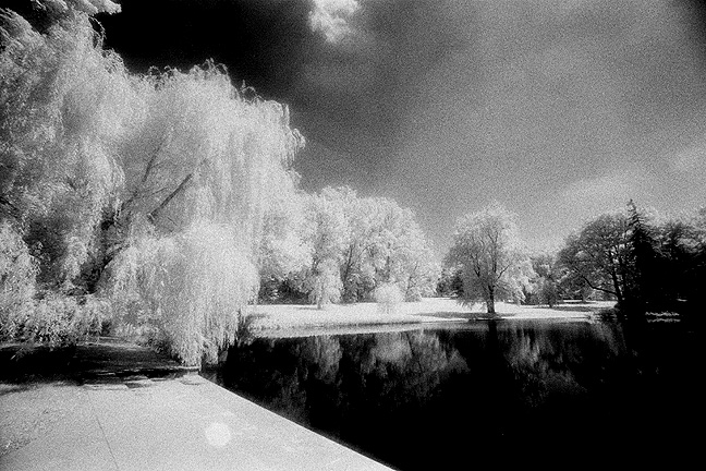 Longwood Gardens IR - by chuckv