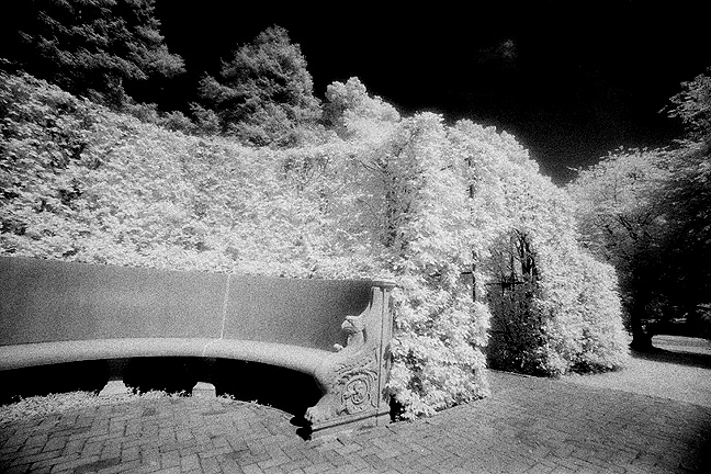 Longwood Gardens IR - by chuckv