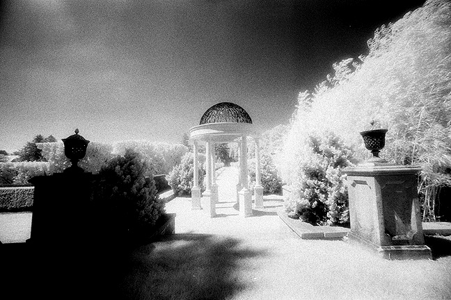 Longwood Gardens IR - by chuckv