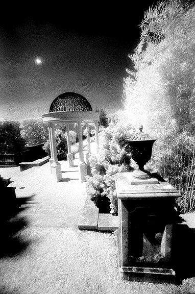 Longwood Gardens IR - by chuckv