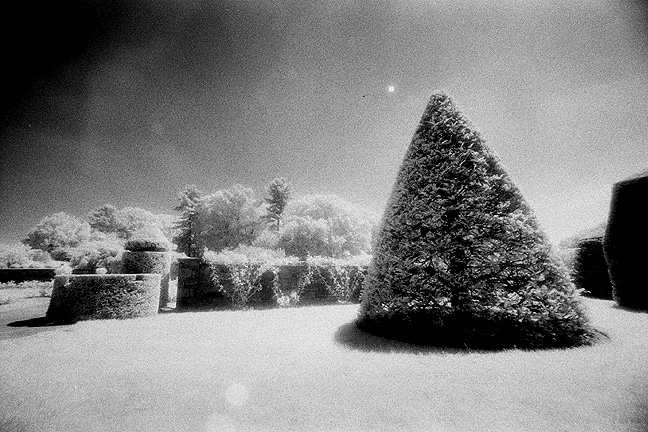 Longwood Gardens IR - by chuckv