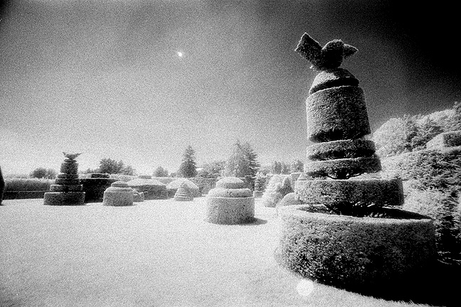 Longwood Gardens IR - by chuckv