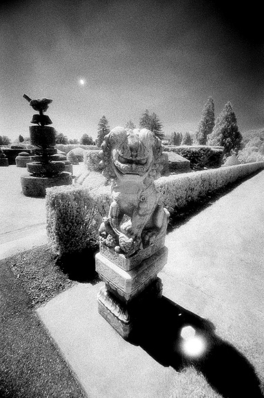 Longwood Gardens IR - by chuckv