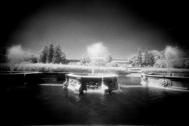 Longwood Gardens IR - by chuckv