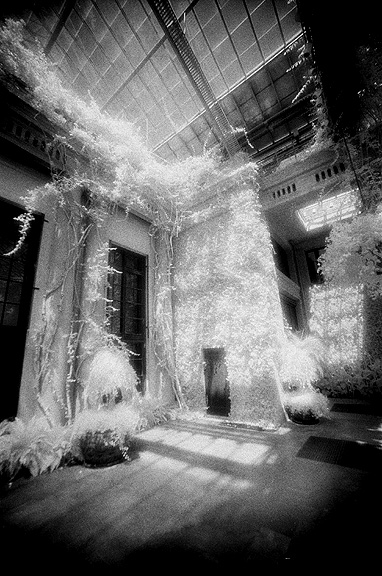 Longwood Gardens IR - by chuckv