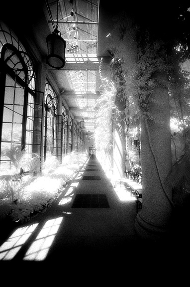 Longwood Gardens IR - by chuckv