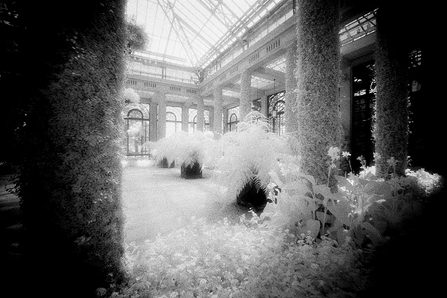 Longwood Gardens IR - by chuckv