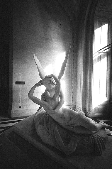 Louvre - by chuckv