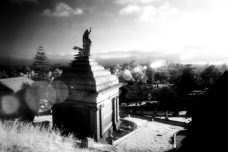 Mountain View - by chuckv