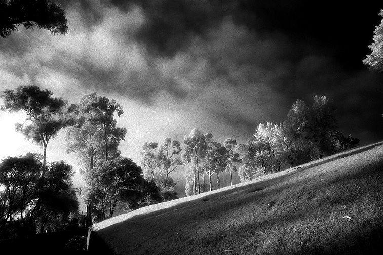 Mountain View - by chuckv