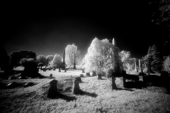 mt vernon - by chuckv
