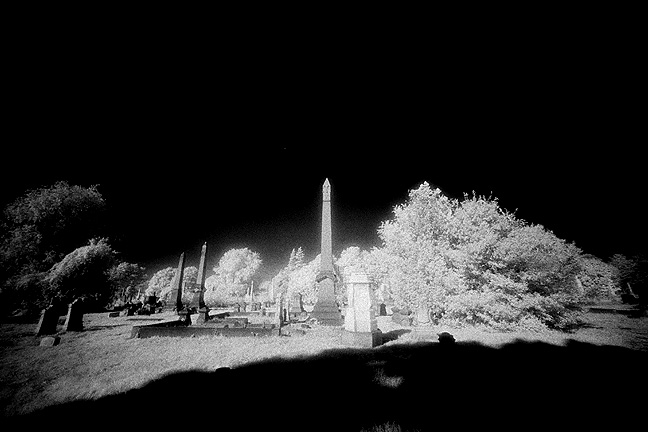 mt vernon - by chuckv