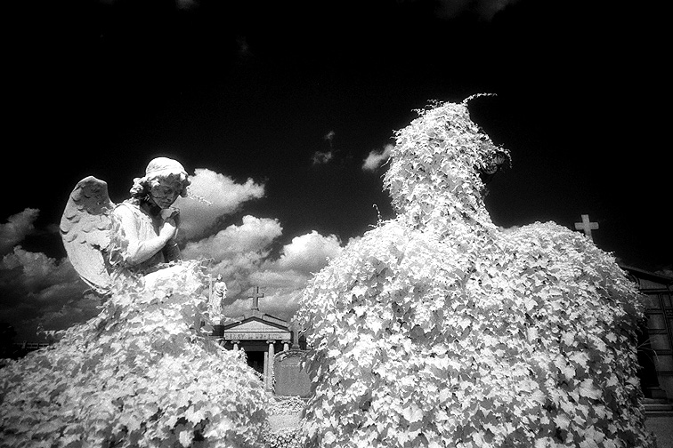Calvary - by chuckv