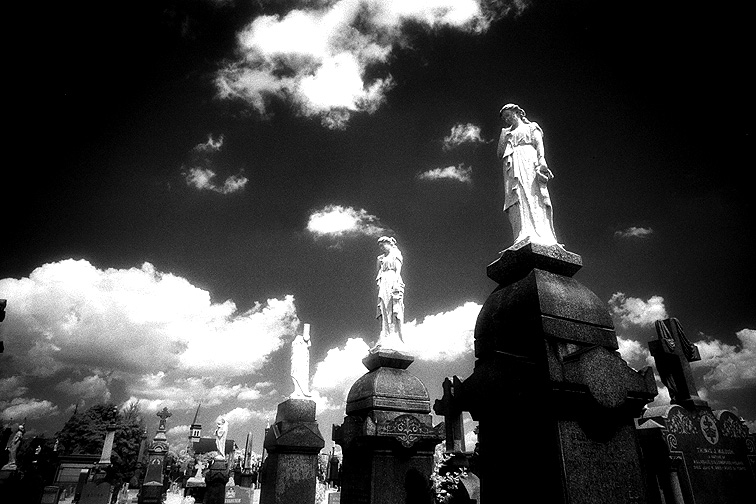 Calvary - by chuckv