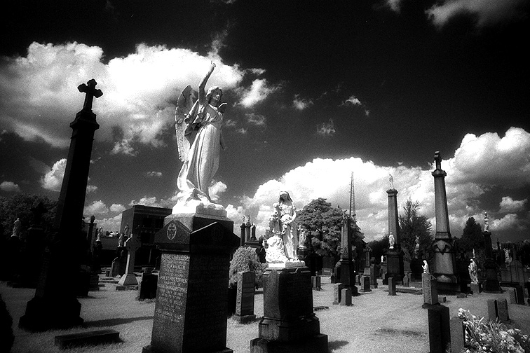 Calvary - by chuckv