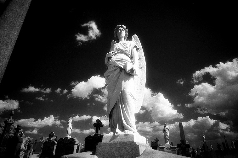Calvary - by chuckv