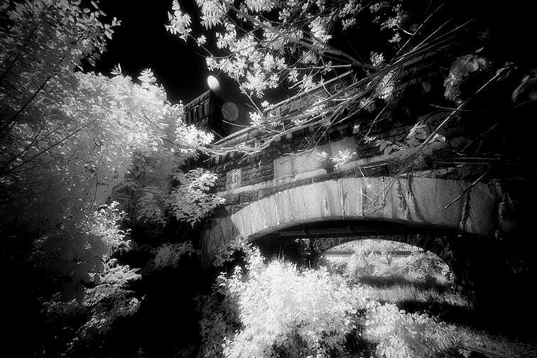 Oakwood - by chuckv