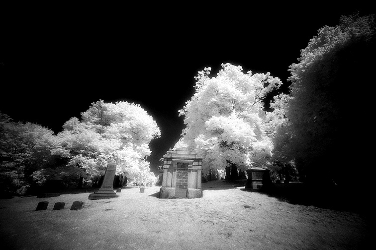 Oakwood - by chuckv