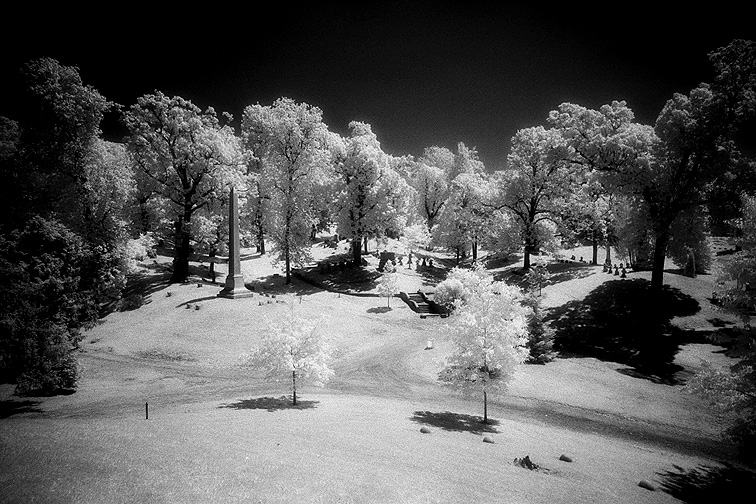 Oakwood - by chuckv